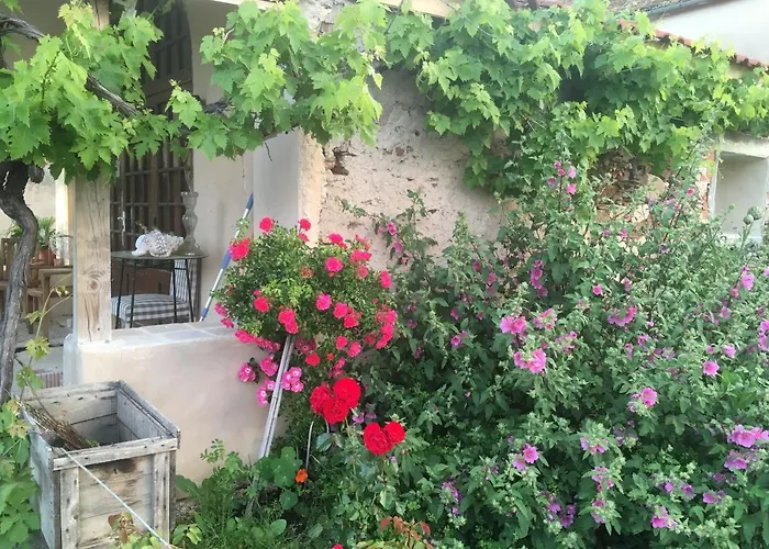 Chez Alice,simplicité Et Petite Piscine Bed and breakfast *